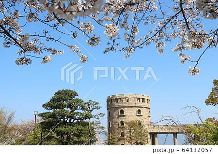 松山総合公園の桜と春の風景 松山総合公園の桜と春の風景 64132057