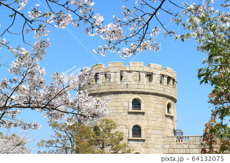 松山総合公園の桜と春の風景 松山総合公園の桜と春の風景 64132075