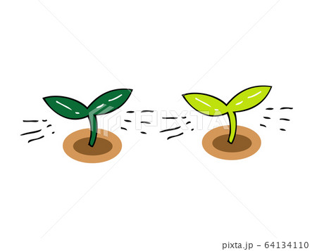 発芽 64134110
