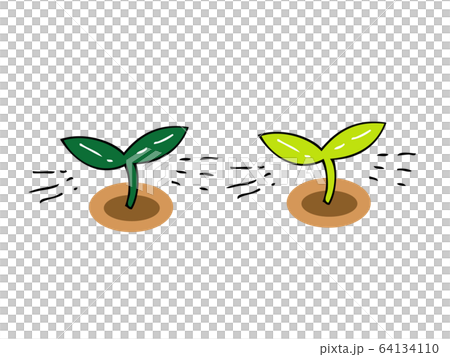 発芽 64134110