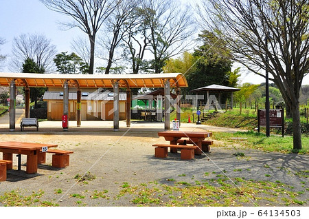 神奈川県茅ケ崎市 県立茅ヶ崎里山公園 バーベキュー場の新緑の写真素材