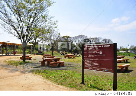 神奈川県茅ケ崎市 県立茅ヶ崎里山公園 バーベキュー場の新緑と青空の写真素材