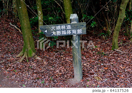 大城山 四王寺山 福岡県 登山 大城山 四王寺山 福岡県 登山 64137526