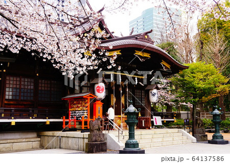 新宿 熊野神社 新宿 熊野神社 64137586