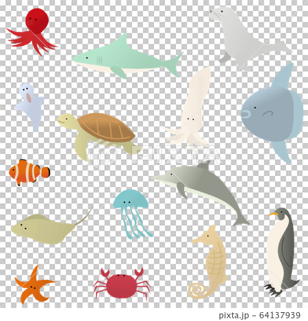 海の生き物2 64137939