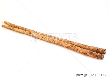 ごぼう ごぼう 64138135