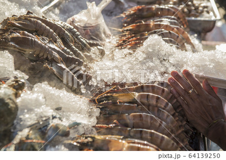 ASIA THAILAND HUA HIN NIGHT MARKET SEAFOOD 64139250