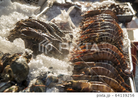 ASIA THAILAND HUA HIN NIGHT MARKET SEAFOOD 64139256