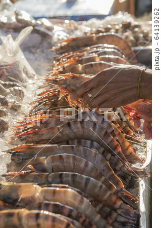 ASIA THAILAND HUA HIN NIGHT MARKET SEAFOOD 64139262