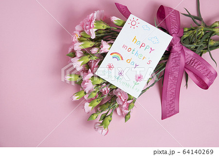 カーネーション ハマナデシコ 母の日 64140269