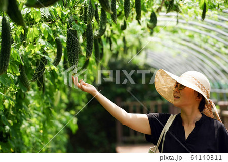 農産物 女性 女 64140311