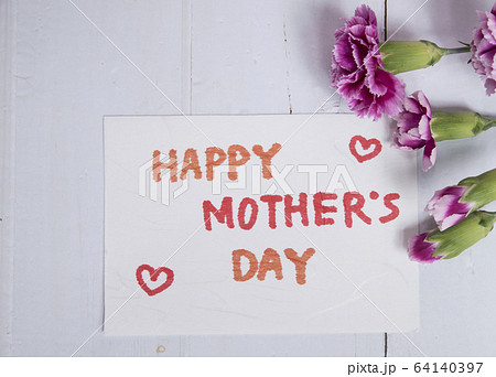 カーネーション ハマナデシコ 母の日 64140397