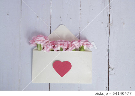 カーネーション ハマナデシコ 母の日 64140477