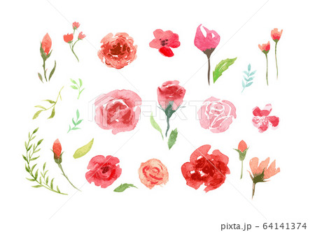 Watercolor aquarelle roses and leaves. 64141374