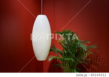 Closeup view at plant and lamp in colorful room 64144311
