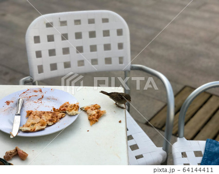 A little hungry bird of a sparrow eats pizza A little hungry bird of a sparrow eats pizza 64144411