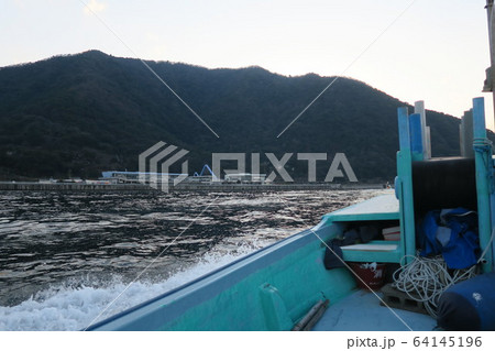 大分市　別府湾 64145196