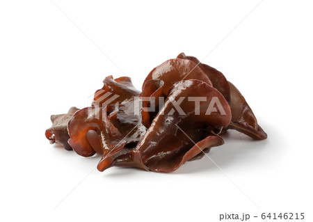 Wet Black Fungus, Tree Ear or Wood Ear Mushroom 64146215