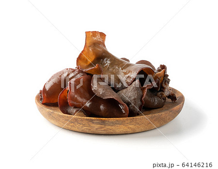 Wet Black Fungus, Tree Ear or Wood Ear Mushroom 64146216