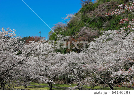 玉井御殿 64146293