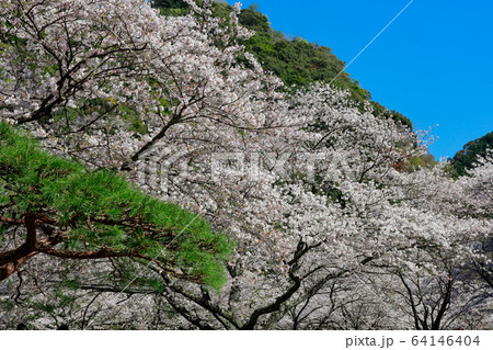 玉井御殿 64146404