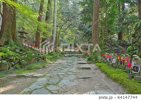 【金剛輪寺 千体地蔵】 滋賀県愛知郡愛荘町松尾寺 【金剛輪寺 千体地蔵】 滋賀県愛知郡愛荘町松尾寺 64147744