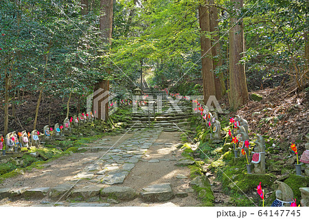 【金剛輪寺 千体地蔵】 滋賀県愛知郡愛荘町松尾寺 64147745
