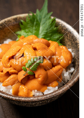 ウニ丼 ウニ丼 64147891