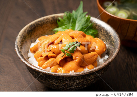 ウニ丼 ウニ丼 64147894