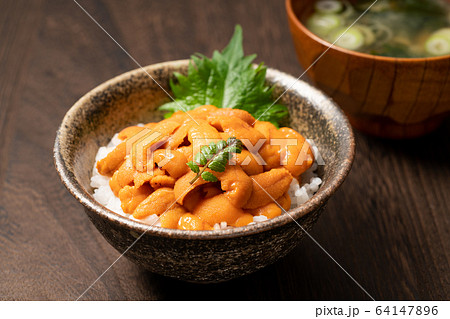 ウニ丼 ウニ丼 64147896