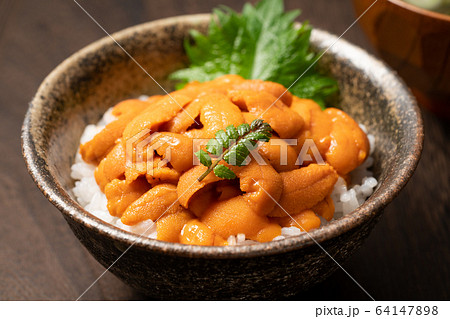 ウニ丼 64147898