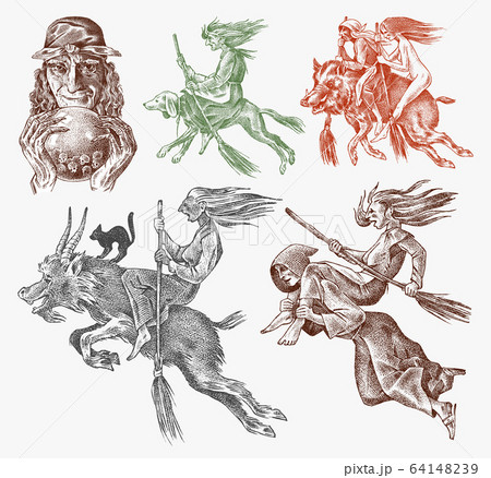 Witch flies with a broom and a dog, a goat and a boar. Ancient mythical Magic characters set 64148239