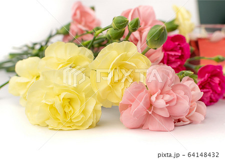 Fresh Carnation Flower Bouquet Dianthus or 64148432