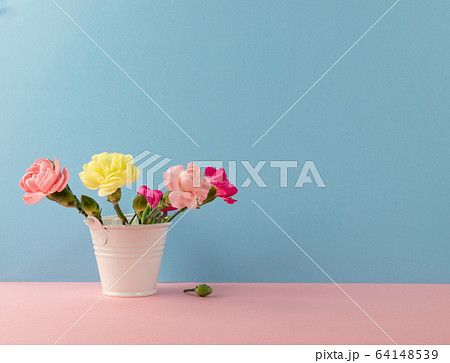 Fresh Carnation Flower, Dianthus or Schabaud 64148539