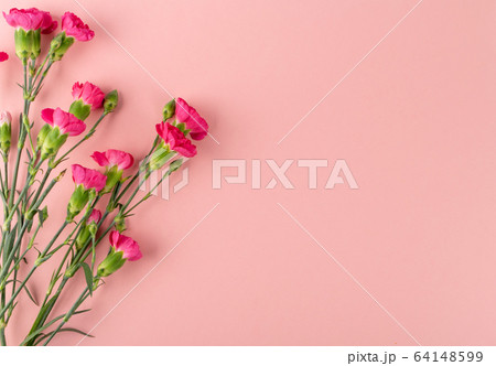 Fresh Carnation Flower Bouquet Dianthus or 64148599