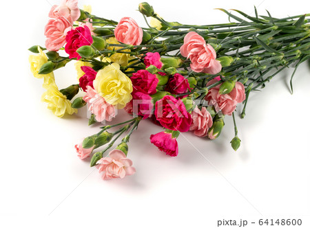 Fresh Carnation Flower Bouquet Dianthus or 64148600