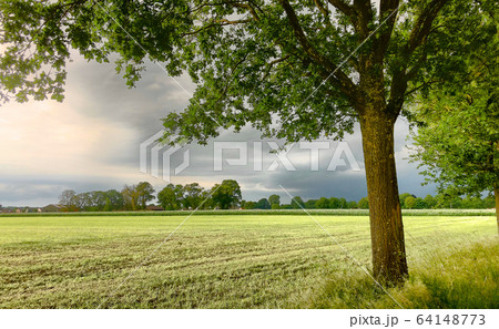 The coming of a big storm, tempest or hurricane over the countryside landscape. The coming of a big storm, tempest or hurricane over the countryside landscape. 64148773