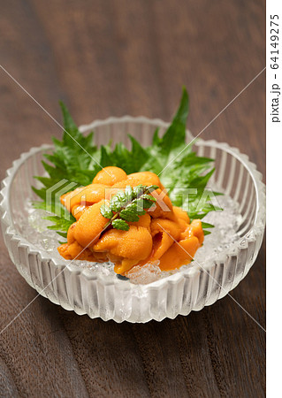 生雲丹の小鉢 生雲丹の小鉢 64149275