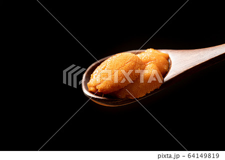 ウニを匙ですくう ウニを匙ですくう 64149819