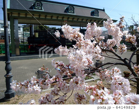 松山 梅津寺公園の坊ちゃん列車 松山 梅津寺公園の坊ちゃん列車 64149829