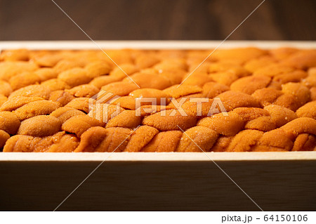 ウニ ウニ 64150106