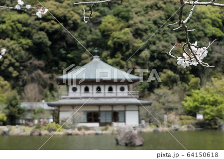 岩屋公園の春 岩屋公園の春 64150618