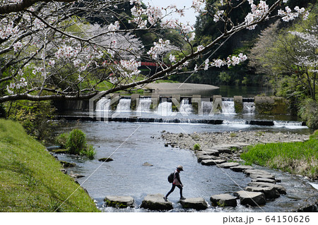 岩屋公園の川を横切る人 岩屋公園の川を横切る人 64150626