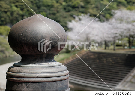岩屋公園の春の橋の景色 岩屋公園の春の橋の景色 64150639