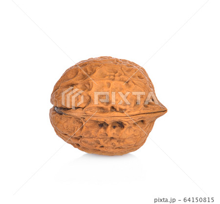 Walnut isolated on white background. Walnut isolated on white background. 64150815