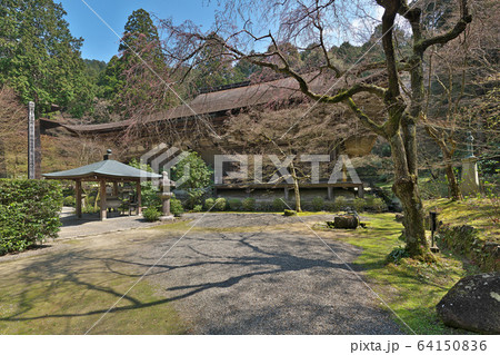 【金剛輪寺 (本堂)】 (高解像度版) 滋賀県愛知郡愛荘町松尾寺 64150836
