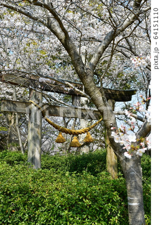 高砂山公園 常滑市 高砂山公園 常滑市 64151110