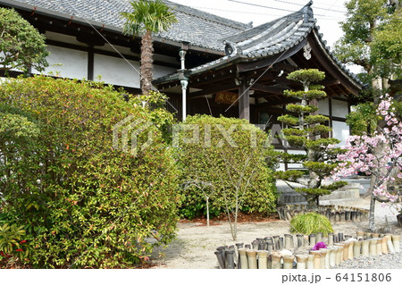 野間大坊 本殿 鐘楼堂 巡拝路 大門 悠紀殿 野間大坊 本殿 鐘楼堂 巡拝路 大門 悠紀殿 64151806