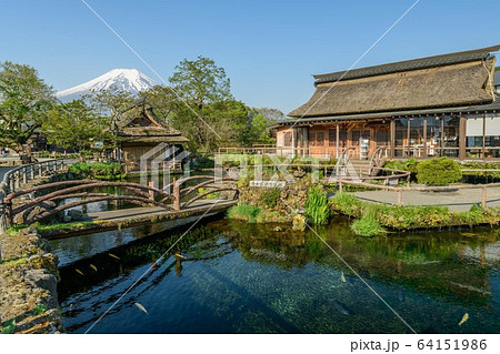 山梨県忍野村忍野八海と富士山 64151986