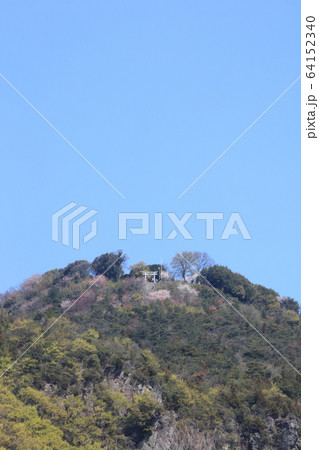 春の高屋神社、下宮参道から見上げる本宮の「天空の鳥居」 64152340